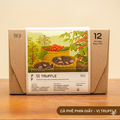 Nấm cục (Vi Nam Truffle)